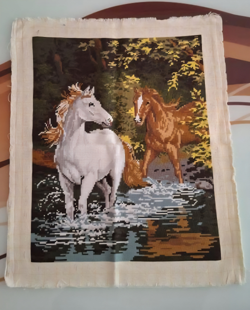 Horses in the river